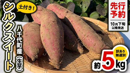 さつまいも シルクスイート 訳あり 約5kg サツマイモ
