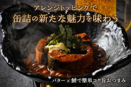 鯖味噌煮缶詰 6缶 サバ缶 みそ煮 おつまみ 保存食 [A-003057]