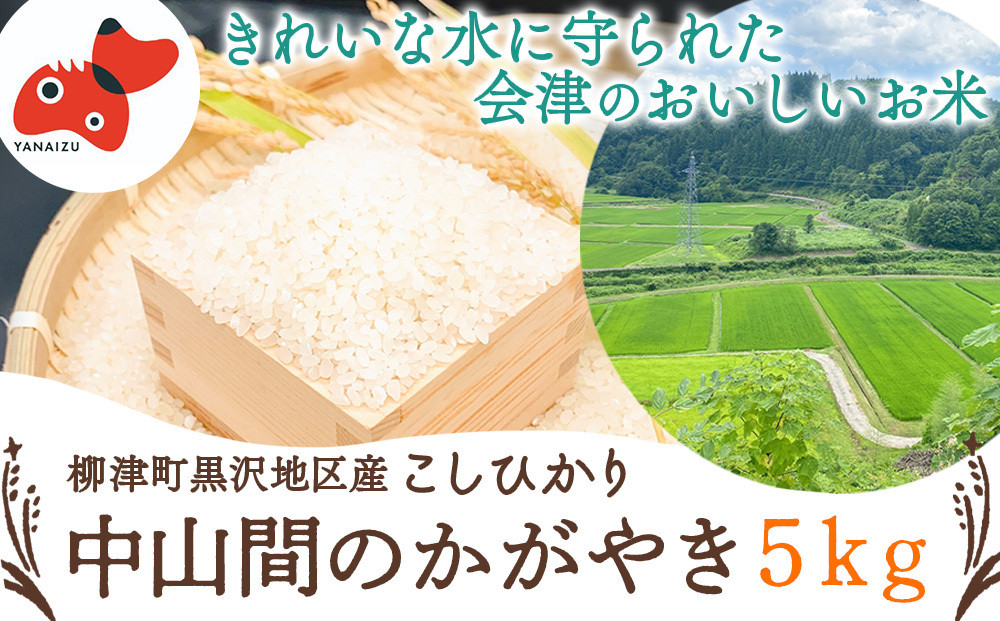 
            ＜令和7年産先行受付＞柳津町黒沢地区産こしひかり「中山間のかがやき」5kg 〈10月末より順次発送〉【1535163】
          