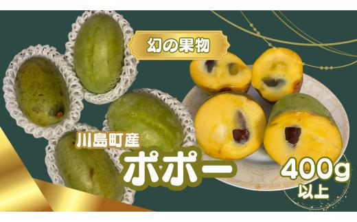 ※限定20個【幻の果物ポポー〈7月から先行予約受付中〉】希少な幻の果物ポポー400g以上　無農薬栽培 栄養豊富　希少国産　埼玉県　川島町　ポポー　期間限定（8月初旬ごろから発送開始のお品です）
