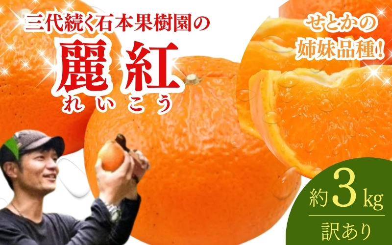 【先行予約】【訳あり】石本果樹園の美味しい麗紅（レイコウ）約3kg 約18～20玉前後【2027年2月中旬から3月中旬に順次発送予定】 / みかん フルーツ くだもの 果物 れいこう【min018】