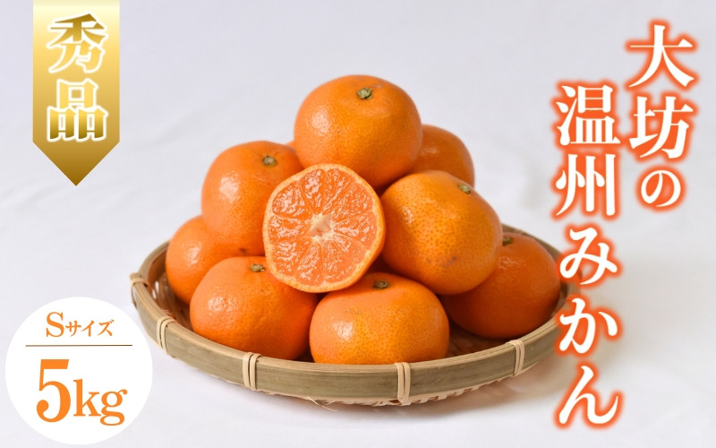 
            【2025年分先行予約】大坊の温州みかん 5kg（Sサイズ） ※2025年11月中旬～12月下旬頃に順次発送予定【期間限定・数量限定】 / みかん 蜜柑 小玉 小粒 こだま こつぶ 5キロ お取り寄せ 産地直送 贈答品 ギフト 果物 くだもの フルーツ 田辺市 和歌山県【ymh016】
          