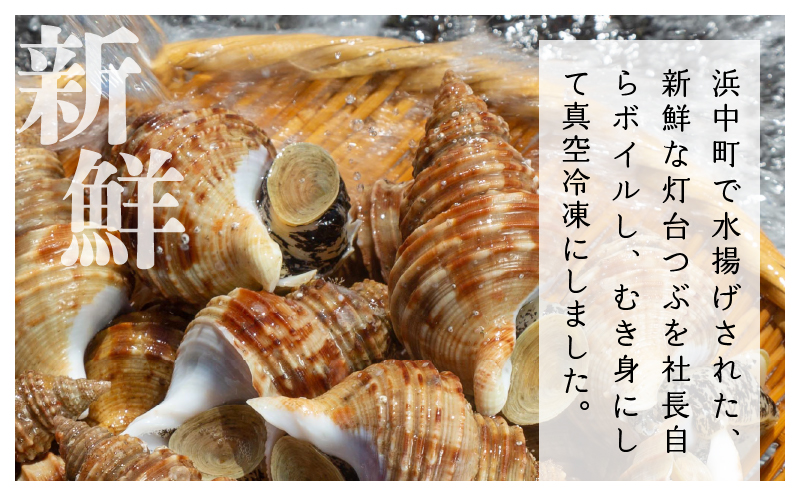 ＜全6回・隔月＞灯台つぶ定期便【総重量5.4kg】_H0023-005