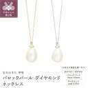 【ふるさと納税】 ネックレス ペンダント ジュエリー レディース アクセサリー ダイヤモンド 0.05ct パール バロックパール 選べる地金 2種 K10 イエローゴールド ホワイトゴールド ギフト プレゼント 箱ケース付 保証書付 k188-188