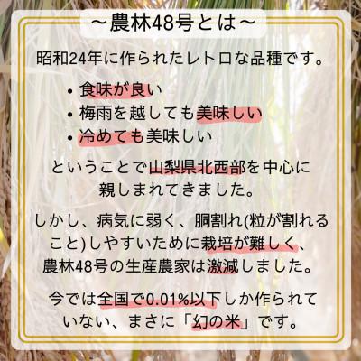 ふるさと納税 韮崎市 武川米農林48号(玄米)パックご飯20個入り |  | 02