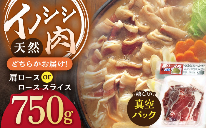 
ジビエ 天然イノシシ肉 肩ロース or ロース スライス750g / 猪 猪肉 いのしし肉 イノシシ イノシシ肉 ジビエ いのしし 長崎県猪 川棚町産猪 ぼたん鍋用いのしし 九州産イノシシ じびえ ジビエ ジビエ肉 【照本食肉加工所】 [OAJ011]
