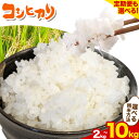 【ふるさと納税】コシヒカリ 米 2kg 5kg 10kg 新川耕地 白米 5分搗き 7分搗き 単発 定期便 千葉県 流山市 送料無料 米 こめ ごはん 定期便 もあります