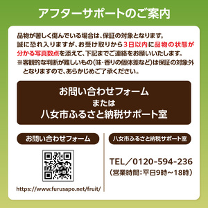 福岡・八女満喫定期便 プレミアム全12回 A ＜配送不可：北海道・沖縄・離島＞ フルーツ 定期便 福岡県 八女市 072-T050