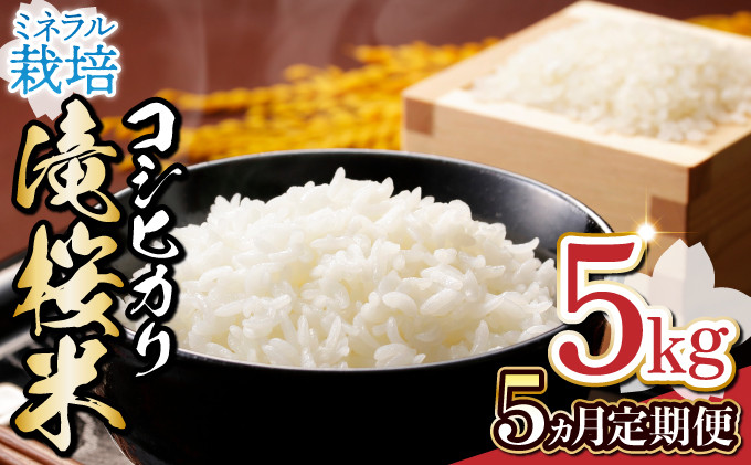 
            【5ヶ月定期便】ミネラル栽培コシヒカリ滝桜米 計25kg 【5kg×5袋 ご飯 ごはん 米 こめ お米 弁当 白米 国産米 銘柄米 ブランド米 おにぎり 国産 全5回 お届け】【07521-0077】
          