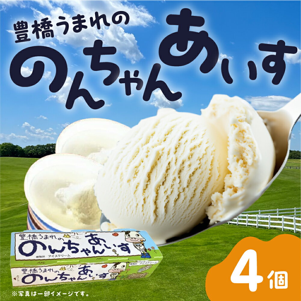 【ふるさと納税】 中央製乳 豊橋うまれののんちゃんあいす3個×4パックセット アイス アイスクリーム 氷菓 おやつ 牛乳 送料無料