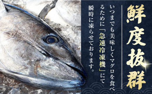 【全6回定期便】対馬産 本マグロ 中トロ 300g & 旬の干物 2種 《対馬市》【対海】 [WAH010] マグロ まぐろ 鮪 本鮪 本マグロ 養殖 トロ 中トロ 中とろ 刺身 干物 旬 魚 地魚 