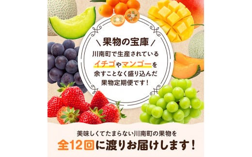 【 12ヶ月定期便 】 超 プレミアム デラックス 定期便 【 川南町産 くだもの きんかん いちご 完熟 マンゴー ぶどう ピオーネ シャイン マスカット 大玉 メロン 】[D11703t12]