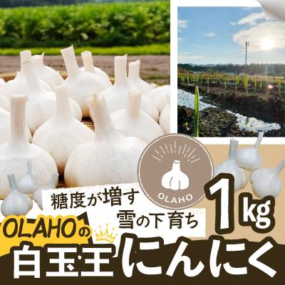 ふるさと納税 大館市 【OLAHO】白玉王にんにく　1kg
