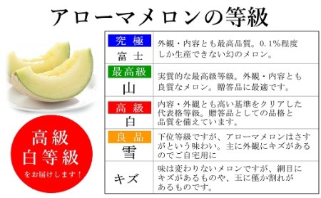013-68 アローマメロン富士級1.4k 1玉 化粧箱入り