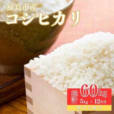 ふるさと納税 福島市 【令和7年産新米先行受付】大文字屋米穀店【定期便12回】コシヒカリ 5kg　精米　No.2498