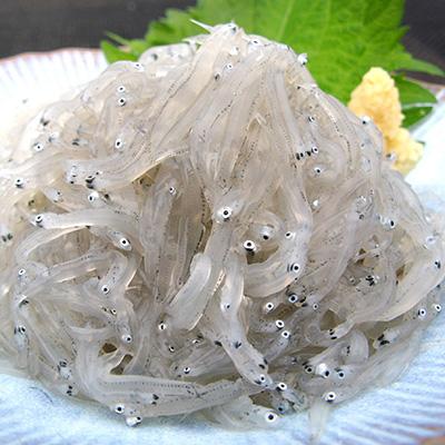 ふるさと納税 吉田町 【明治神宮・奉献品】駿河湾の恵み『極上品4種豪華セット』【丸三水産】　 |  | 02