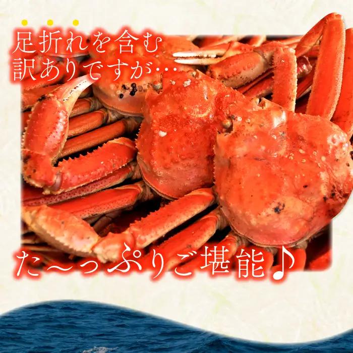 【蒸し】訳あり足折れ松葉ガニ 1.5kg前後 【訳あり 松葉ガニ 松葉がに 松葉蟹 まつばがに かに カニ 冷蔵 チルド ブランド ズワイガニ 蒸し ボイル 足折れ 自宅用 国産 季節限定 お取り寄せ