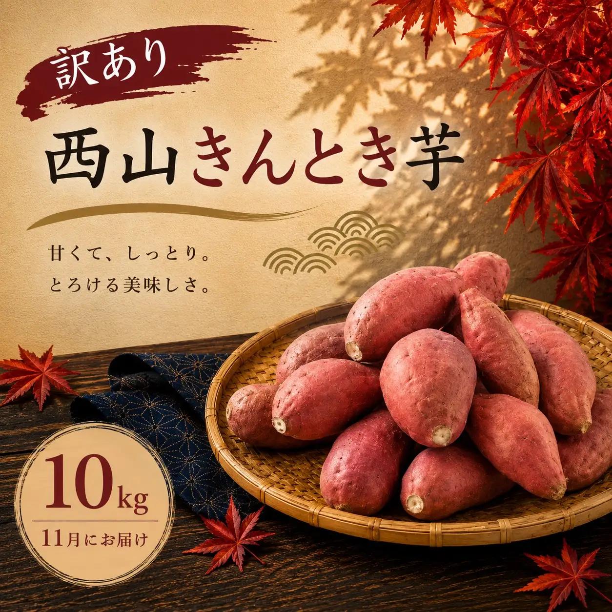 【令和８年１１月お届け】西山きんとき芋 10kg | 訳あり 新芋 さつまいも サツマイモ さつま芋 焼き芋 やきいも ヤキイモ 人気 野菜 不揃い 規格外 おやつ デザート秋 旬 生芋 ご家庭用 10000円 高知県 室戸市