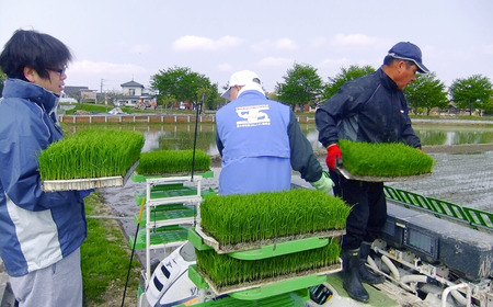 [定期便5kg×3か月] 新之助人生応援米 令和7年産 5kg 計15kg 新之助 白米 アグリ巧房【035S013】