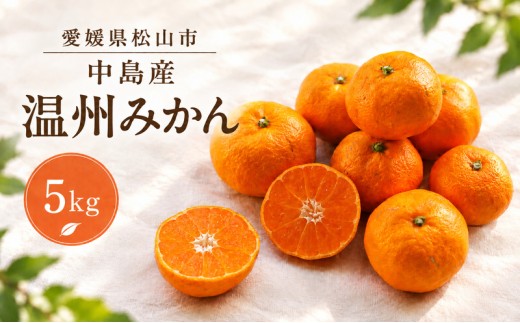 【2026年11月下旬頃から順次発送】 温州みかん 5kg  | みかん 柑橘 フルーツ チョイス 限定 愛媛 松山 農音