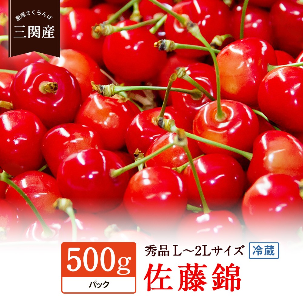 
            令和8年産 先行予約 数量限定！「冷蔵」佐藤錦 500g 秀L～2Lサイズ さくらんぼ 果物 フルーツ 秋田県  湯沢市 三関【田村果樹園】[H10802]
          