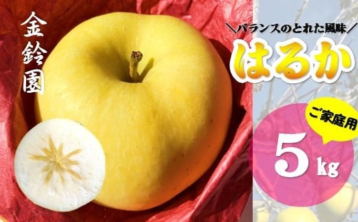 
                  ＼ 予約受付 26年11月下旬 発送開始予定 ／【 北上市産 りんご 】 はるか  [ 家庭用 ] 5キロ (約13～18玉) 林檎 リンゴ 5kg 国産 産地直送 フルーツ 果物 岩手県 北上市 D0445 りんご 訳あり
                
