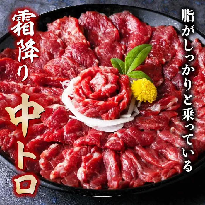 【12回定期便】赤身 & 霜降りの「2種食べ比べセット 」 (赤身 約50g×10パック 中トロ 約50g×10パック) 計1kg 国産 馬刺し赤身 国内肥育 霜降り中トロ 約1キロ たっぷり 熊本 