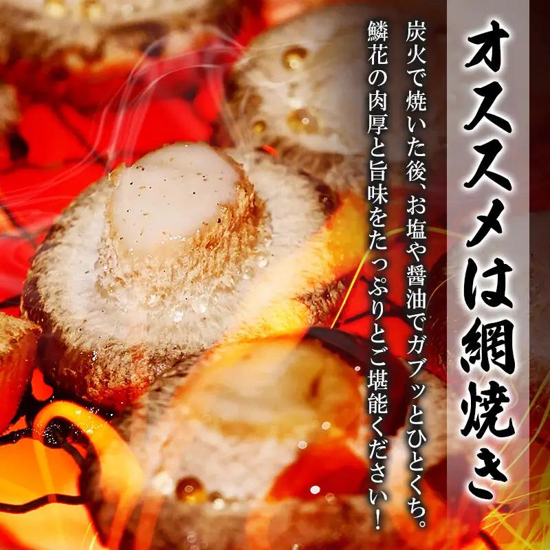 鱗花 -錦-（生椎茸） 約1kg