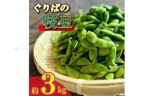 枝豆 3kg えだまめ エダマメ 豆 おつまみ 酒 陽恵 新鮮 朝採れ 野菜 茶豆 ずんだ ずんだもち お中元 グルメ ギフト 静岡県 牧之原市 もろこしショップ ぐりぱ