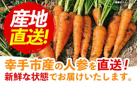【きあり農園】2026年度 幸手市産 人参 10kg - 採れたて にんじん ニンジン 産地直送 野菜 ベジタブル 美味しい おいしい 根菜 煮物 炒め物 カレー サラダ おすすめ 送料無料 埼玉県 