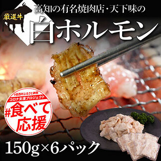 TKA005　白ホルモン 天下味オリジナル本格塩ダレ漬け（150g×６パック） 高知市共通返礼品 人気 牛肉 お肉 小腸 焼き肉 タレ 焼肉 BBQ バーベキュー 冷凍 小分け おつまみ どんぶり お