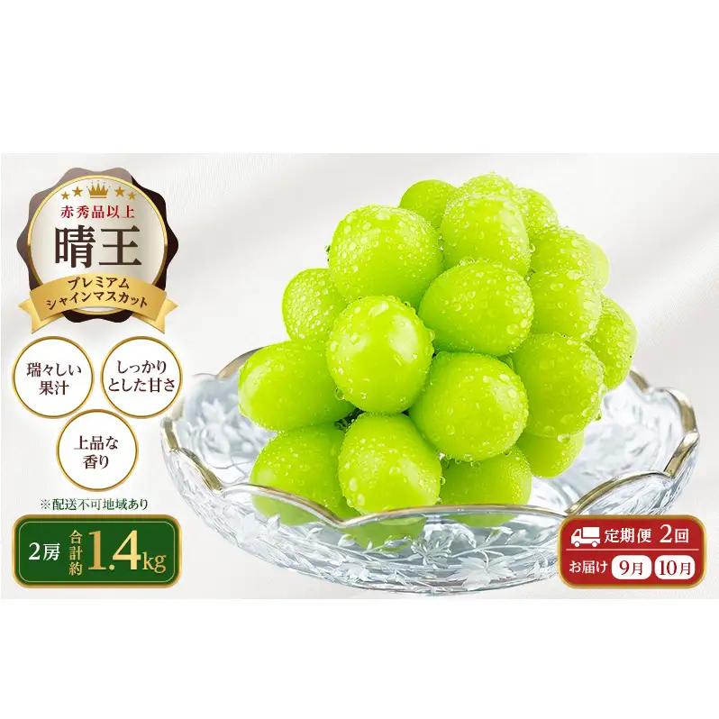シャインマスカット 晴王 プレミアム 岡山県船穂産 シャインマスカット【2房 約1.4kg】【定期便2回】