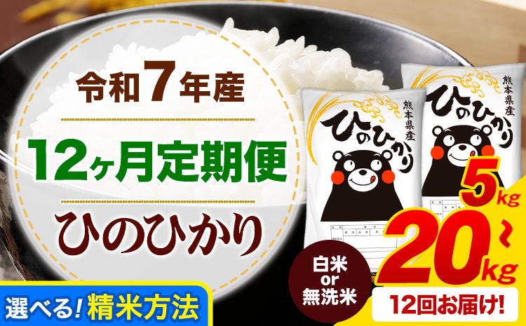 【12ヶ月定期便】令和7年産 無洗米 も選べる ひのひかり 定期便あり 5～20kg 《お申込み翌月から出荷》