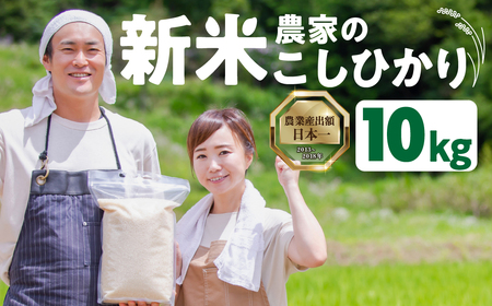 新米農家のこしひかり 10kg お米 おこめ 米 コメ ごはん コシヒカリ ご飯 ブランド米 精米 令和7年 6か月 令和6年産 売り切れ 米 備蓄米 よりおいしい 愛知県 田原市 渥美半島 人気 先