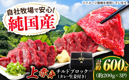 『純国産』熊本の味 上赤身 馬刺し 計約600g（約200g×3パック）ブロック チルド 冷蔵 タレ付き 【有限会社 九州食肉産業】[AYCN034]