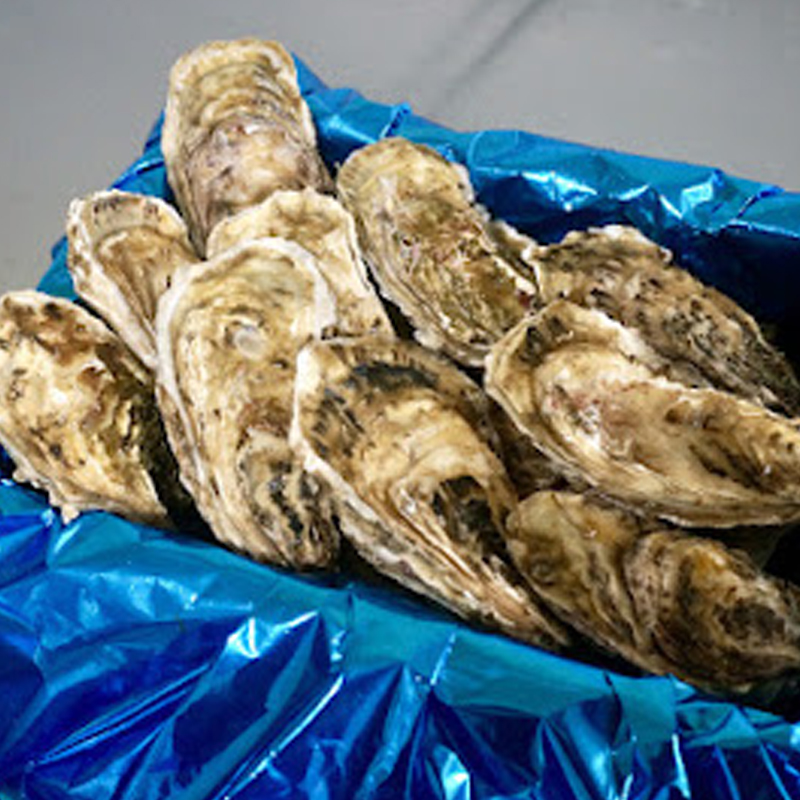 ＼先行予約／北海道 仙鳳趾名産 牡蠣 150g～199g×12コ+かきナイフ付き かき漁師直送 K3-3＜出荷時期：2025年7月1日ごろ～順次出荷＞_イメージ4