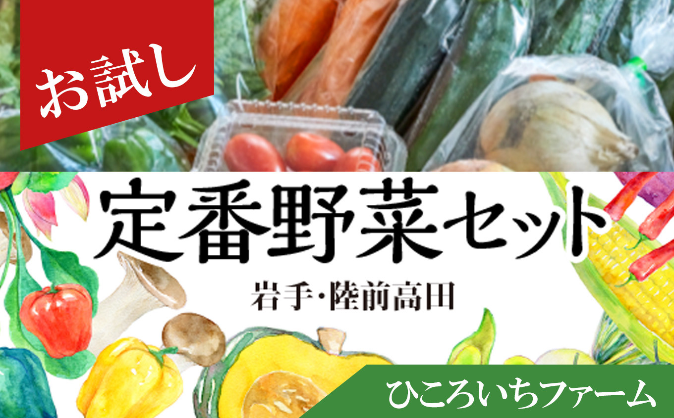 
ひころいちファーム定番野菜セット（農家の気持ち体験型野菜の詰め合わせ）岩手 陸前高田 農業
