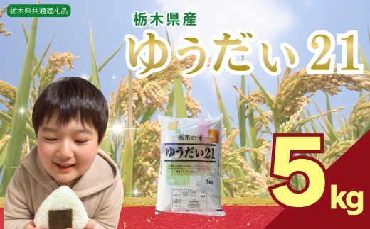 ゆうだい21 5kg | 米 こめ コメ kome 白米 精米 お米 ゆうだい ユウダイ ﾕｳﾀﾞｲ 栃木米 大粒 粘り 甘み お弁当 おにぎり 令和7年度米 令和7年度 2025年度米 2025年度 ブランド米 栃木県 特産品 送料無料 【栃木県共通返礼品】 栃木県 下野市 しもつけ市