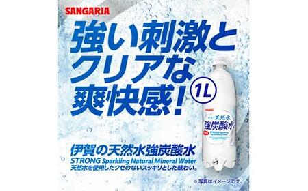 サンガリア伊賀の天然水 強炭酸水2ケース（1リットル×24本）［水　天然水　水　水　炭酸水　水　水　水　水〕　