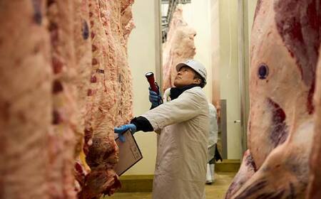 【米沢牛黄木】米沢牛 赤身すき焼用 500g F2Y-5905