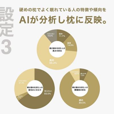 ふるさと納税 我孫子市 硬さ硬めの枕を好む人向け枕 THE PILLOW Preset 12 Katame |  | 03