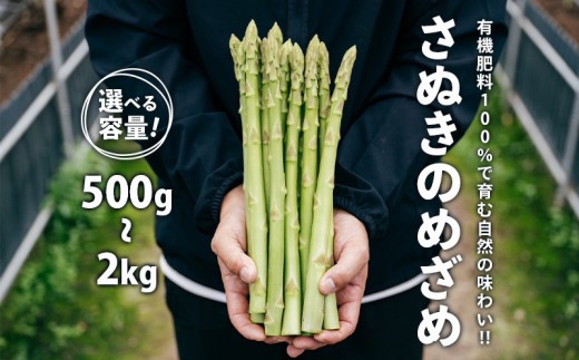 
                  【2026年先行予約】 グリーンアスパラガス さぬきのめざめ 500g 1kg 1.5kg 2kg 朝採れ 鮮度バツグン 有機肥料 早朝収穫 人気 シャキシャキ 食感 新鮮 瑞々しい 甘い 歯ごたえ ロングサイズ  アスパラガス 農場 収穫 特別品質 高品質 希少品質 美しい フレッシュ 品種改良 減農薬 野菜 旬 丸亀市 藤井農園
                