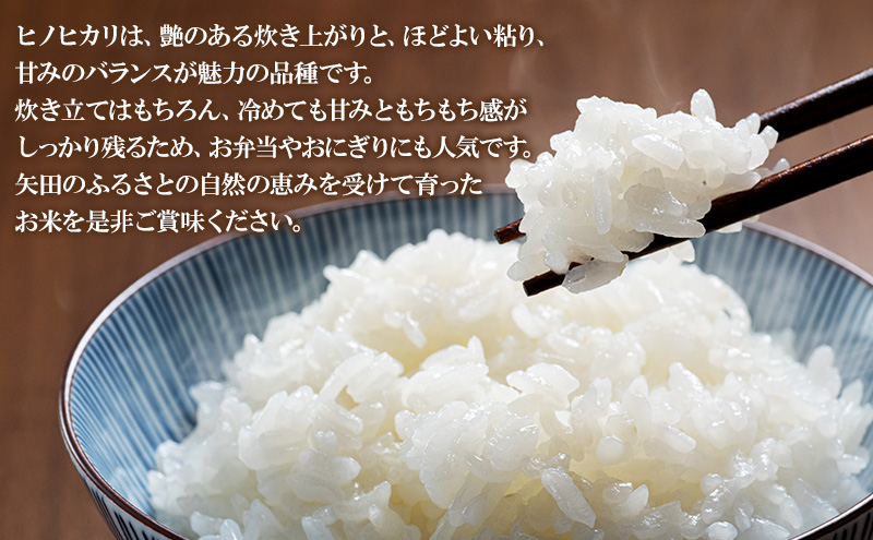 【令和7年産】数量限定！佃農園からお届け！農家の愛情たっぷりそそいだおこめ ヒノヒカリ5kg　精米　お米　奈良県　大和郡山産