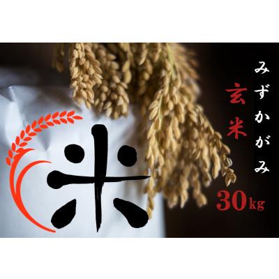 ふるさと納税 竜王町 令和7年産 みずかがみ玄米 30kg