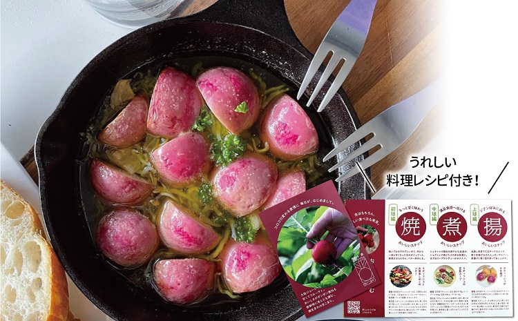 京丹波ラディッシュ 5袋セット 京都 丹波 大粒 ジューシー フルーティー ソテー グリル料理 バーベキュー アヒージョ かき揚げ サラダ スープ ※北海道・沖縄・その他離島への配送不可 [008NM