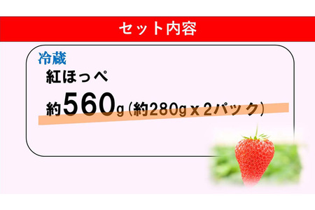 【ふるなび限定】【新農場オープン記念】【先行受付 2026年1月より発送】【農場直送！】紅ほっぺ(約280g×2P)【ふるさと納税 基山町産 いちご イチゴ 朝採れ 完熟果 FN-Limited-PR