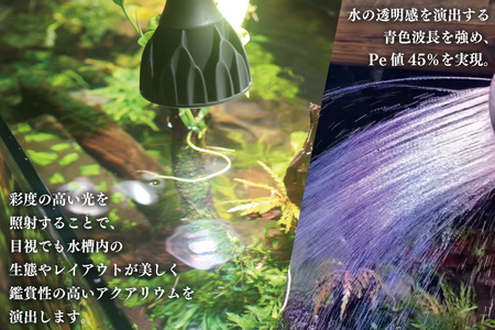 BN025　電球タイプのアクアリウム専用ライト。異次元の彩度、水の揺らぎ、水草の育成に優れています。「ヘリオスアクアLED (ブラック)」