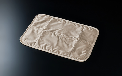 「毎日シルクに包まれて眠りたい」【中わた 富岡産シルク100％】 枕パット シャンパンゴールド シルク 絹 贈り物 ギフト 国産 F21E-456