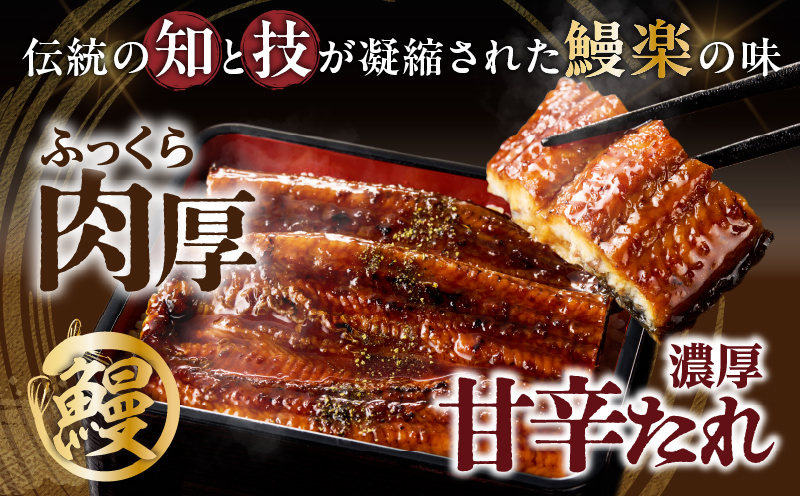うなぎ蒲焼特大3尾(さんしょう・たれ付き)計600g以上 鰻 魚 魚介 加工品 国産_T026-0021