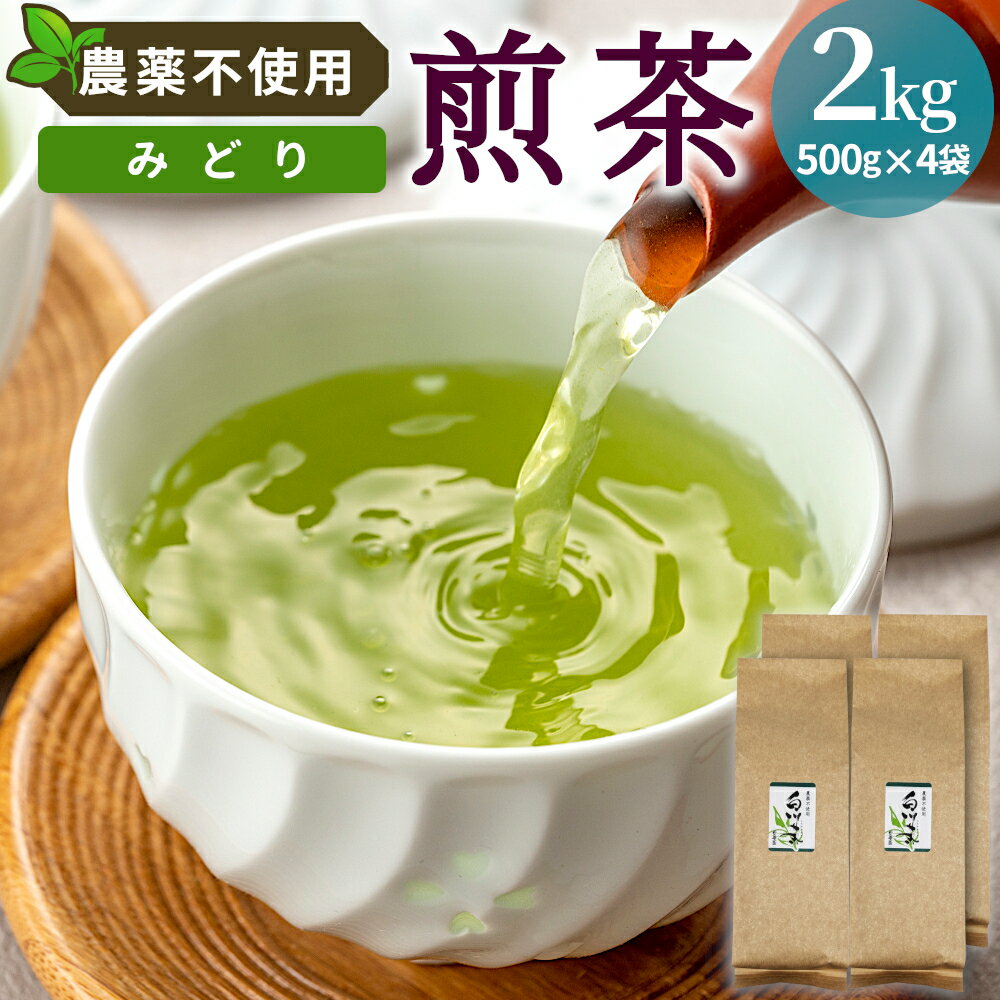 【ふるさと納税】農薬不使用！煎茶 みどり 2kg 常磐園 白川茶 美濃白川茶 日本茶 緑茶 煎茶 茶葉 お茶 一番茶 春摘み リーフ 国産 大容量 岐阜県 東白川村 家庭用 進物用